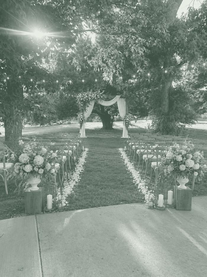 Countryside wedding ceremony under trees, decorative